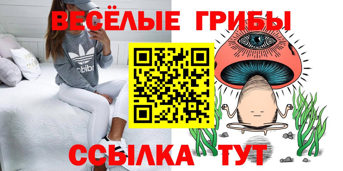 Псилоцибиновые грибы мухоморы Пенза