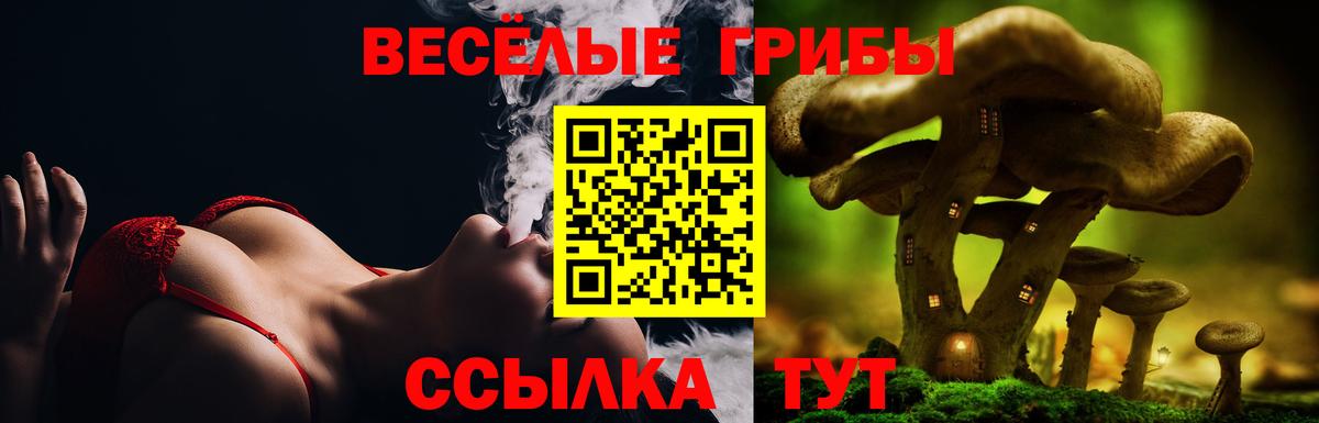 Псилоцибиновые грибы прущие грибы  Галлюциногенные грибы мухоморы  Пенза  Вход с VPN 