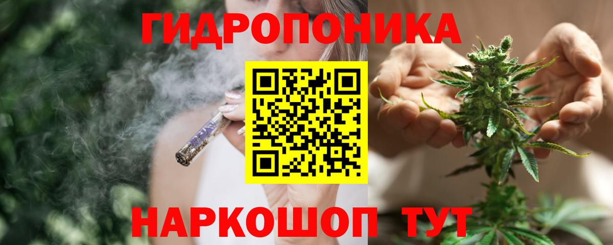 Бошки марихуана OG Kush  МАРИХУАНА OG Kush  Пенза  Бошки Шишки OG Kush  МАРИХУАНА сатива  Вход с VPN 